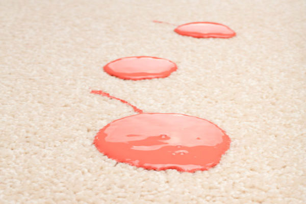 how to remove paint spills on your carpet