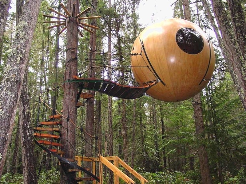 acorn-awesome-tree-house-design-idea
