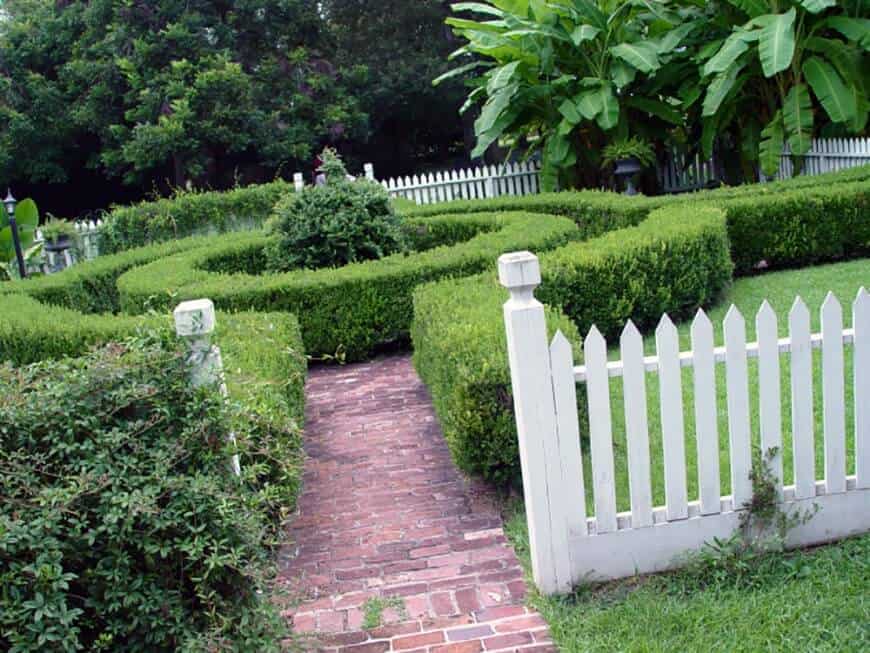 Beautiful fenced in backyard with a hedge design