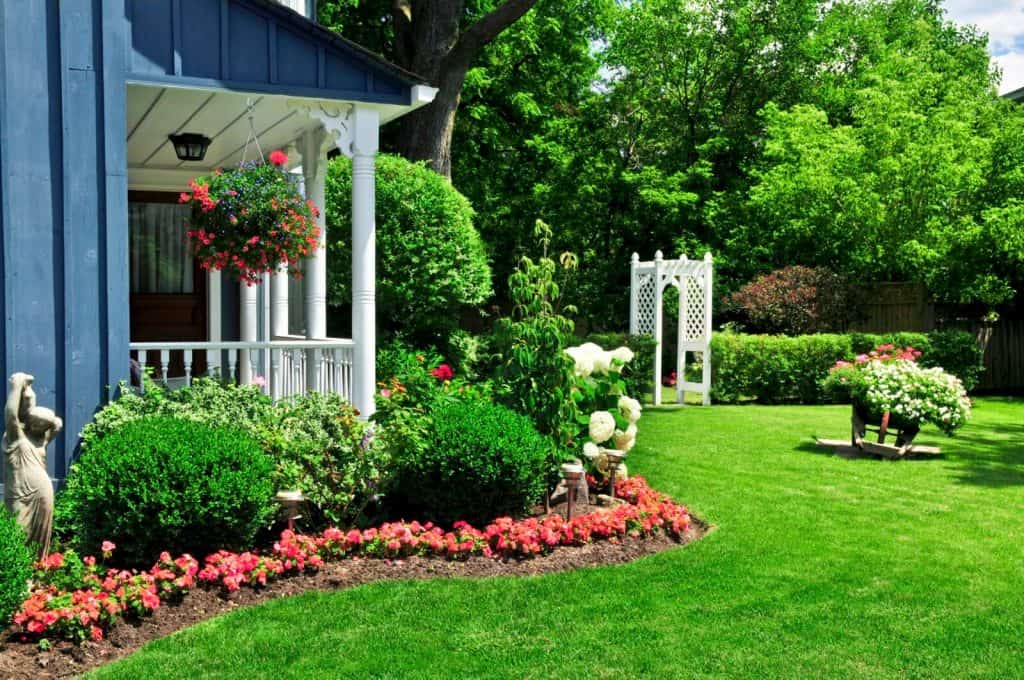 Landscaping ideas on a budget