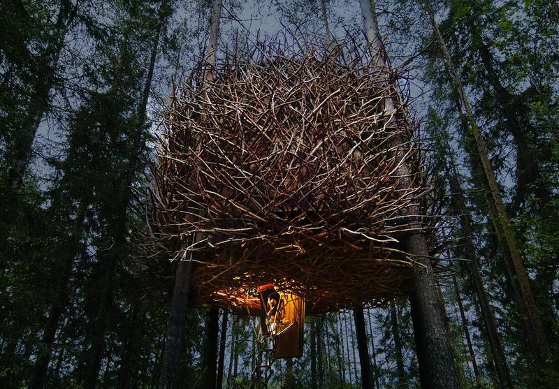 bids nest tree house