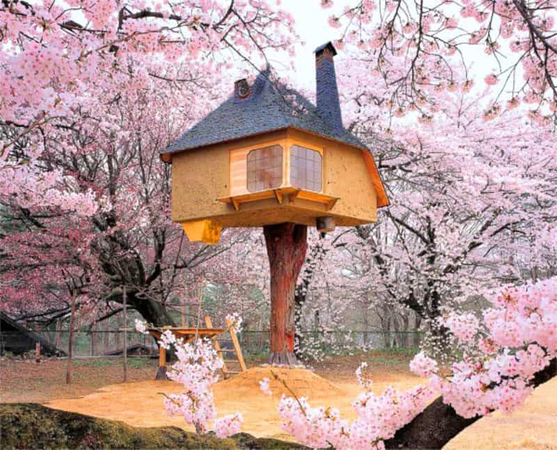 japanese style tree house