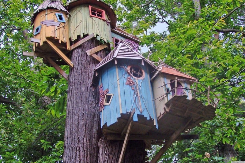 fun kids tree house design