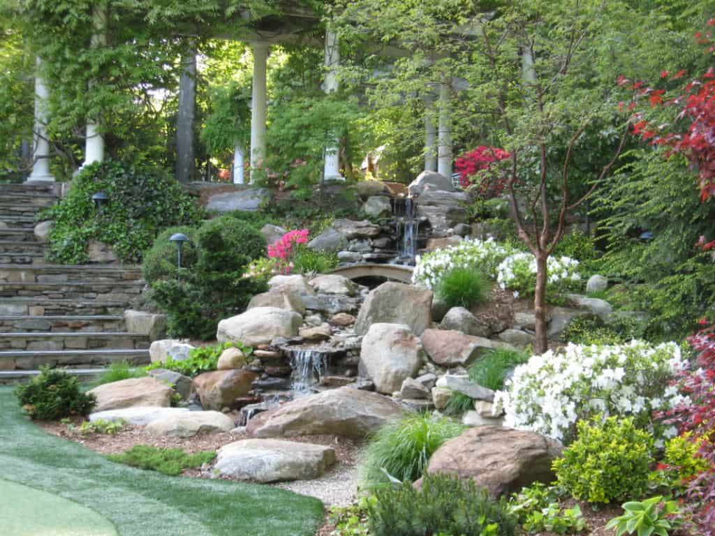 Garden filled with lush climbing foliage and flowers design