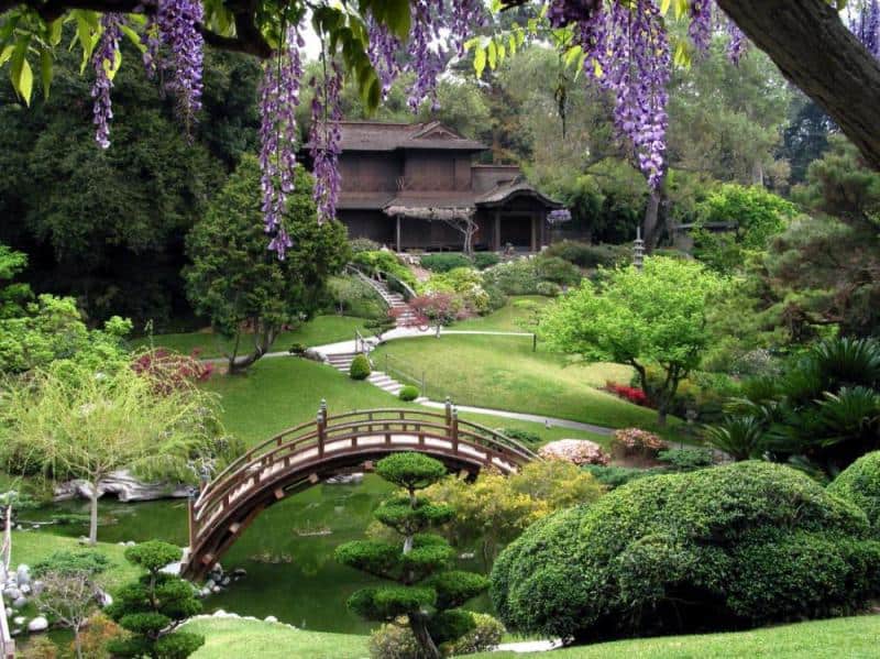 stunning-zen-garden-landscape-design-with-bridge-above-pond-as-well-as-creative-plants-design-in-courtyard