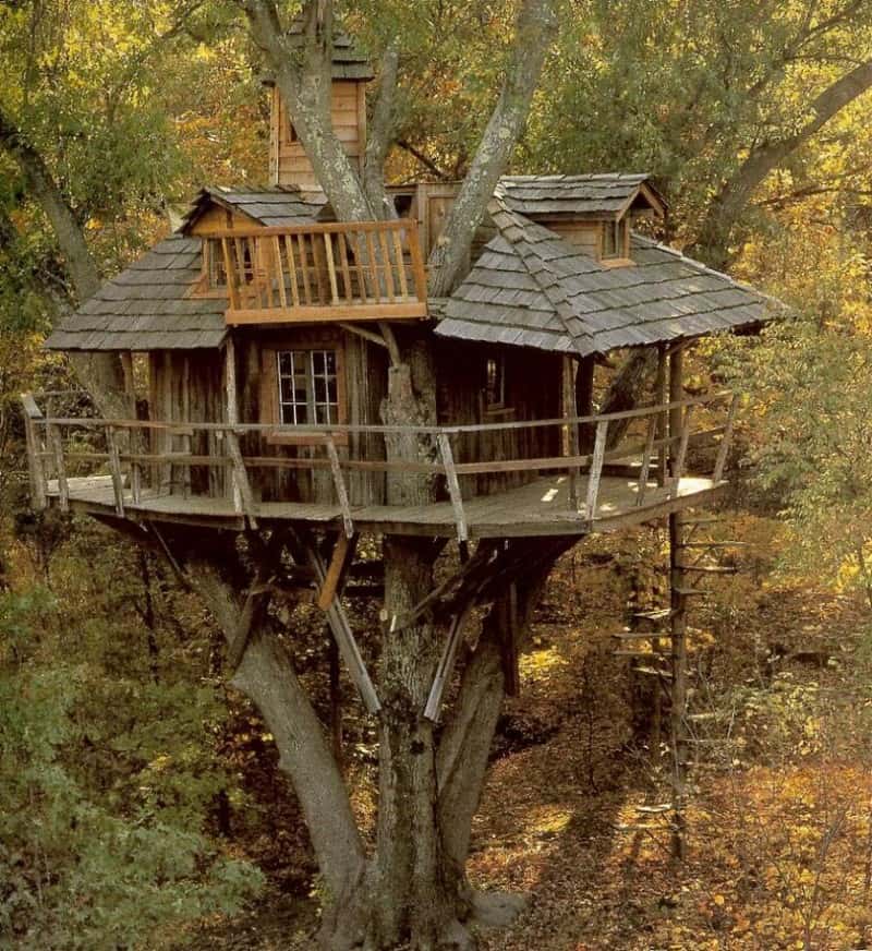 twisted staircase tree house all wooden