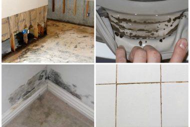13 DIY ways to get rid of house mold, including; Black mold..
