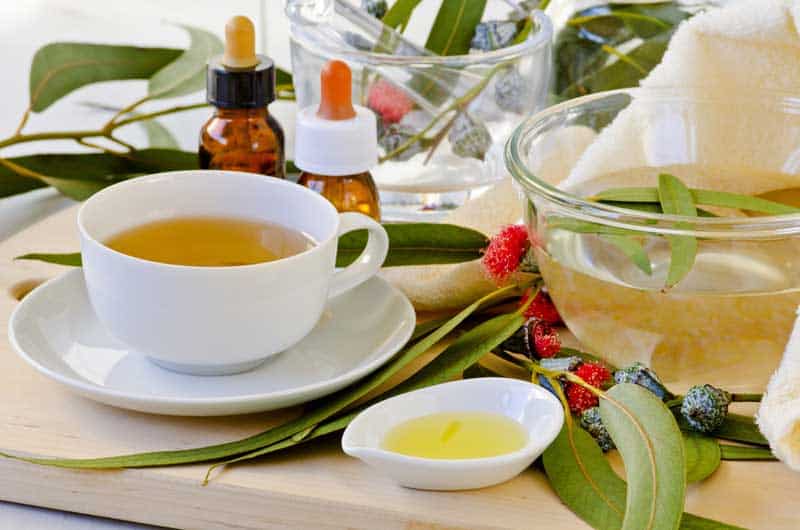 Eucalyptus oils are good for getting rid of insects