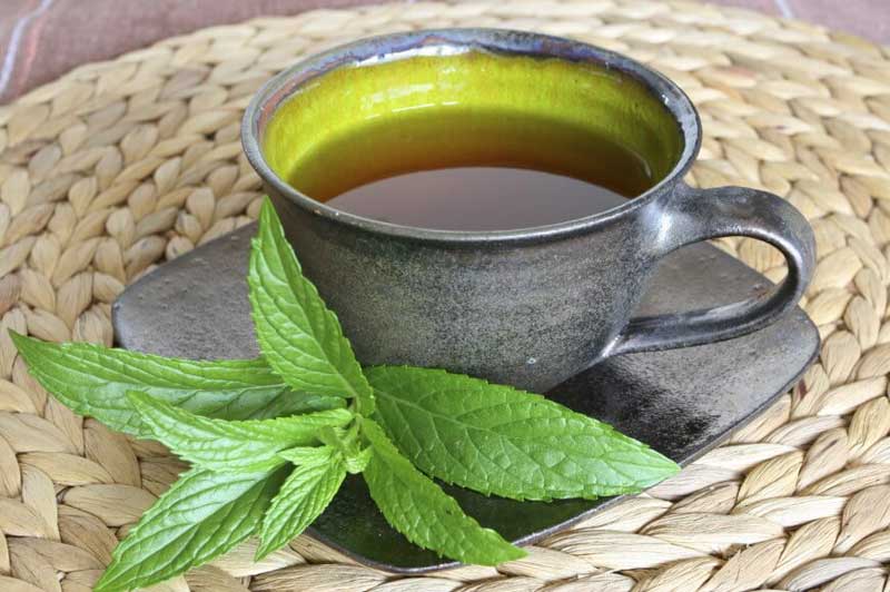Mint tea has a natural way of getting rid of spiders