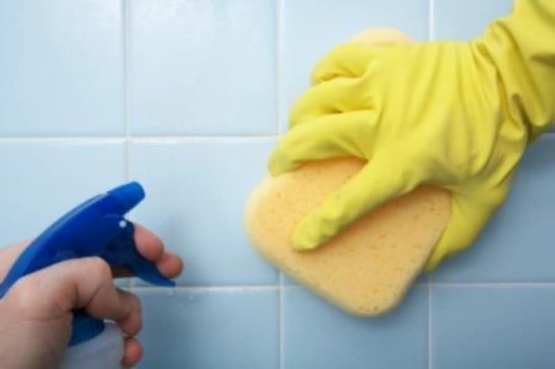 antimicrobial mold prevention