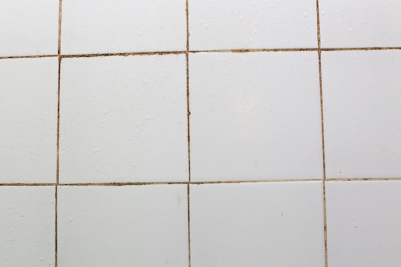 remove shower mold