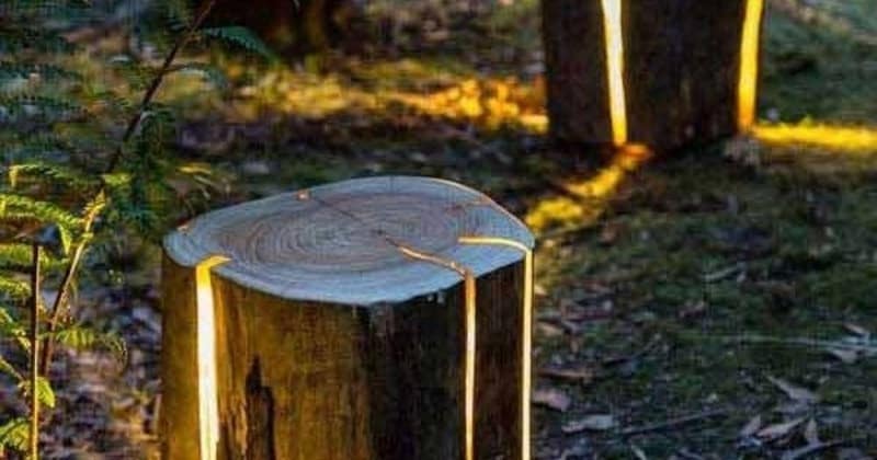 lamp made out of tree logs reclaimed wood projects
