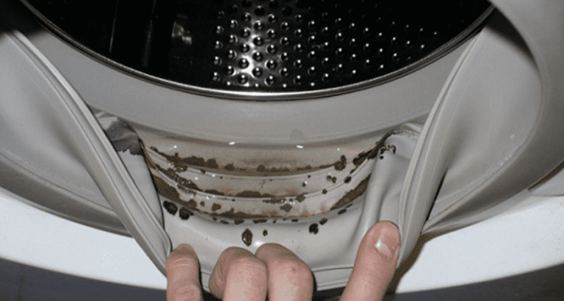 remove mold from washing machine