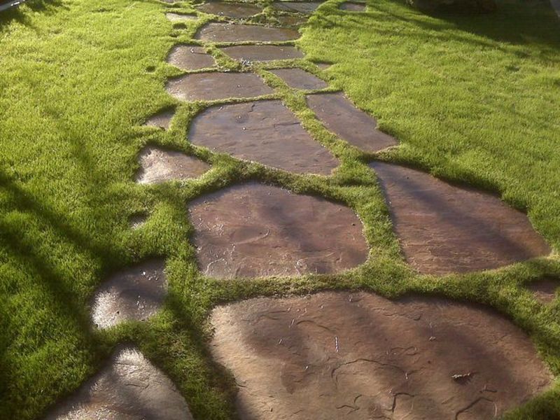 moss and stone garden pathway DIY