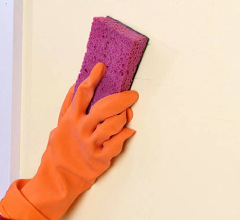 remove mold off painted drywall