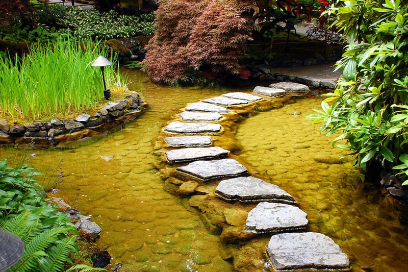 pond stepping stone pathway