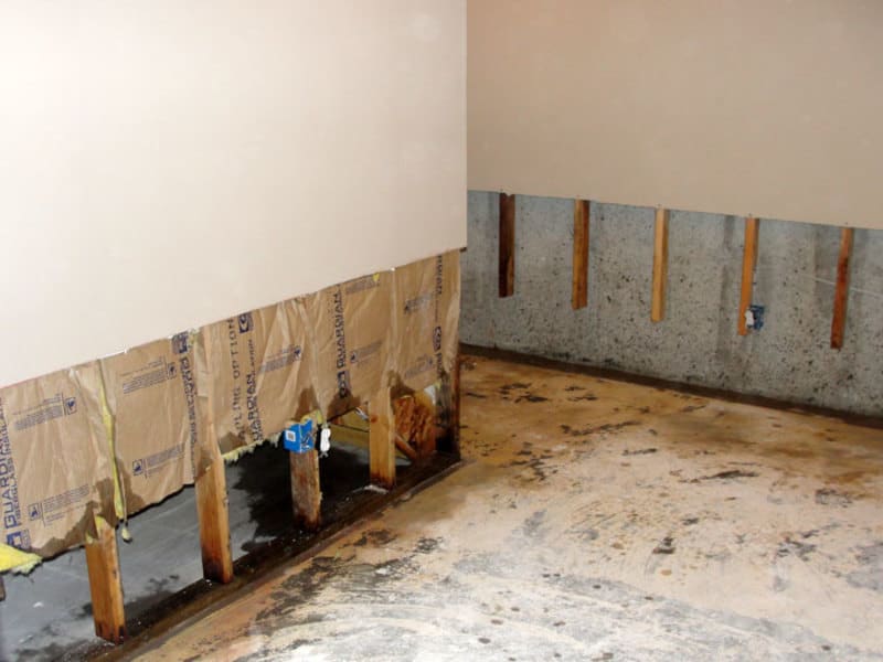 drywall removal mold