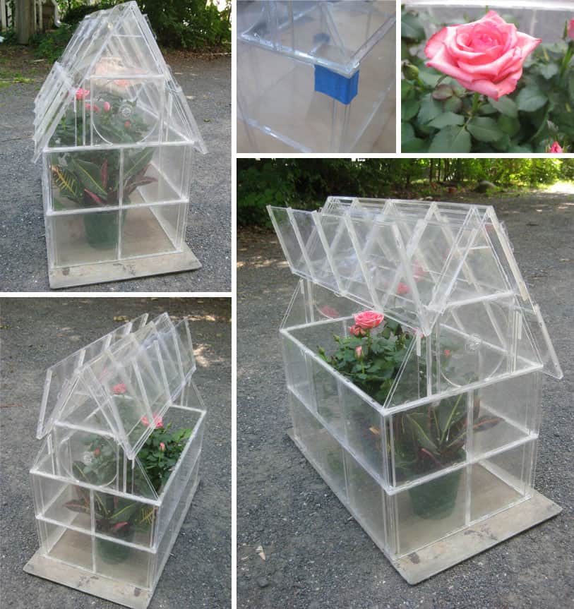 DIY greenhouse with tutorial