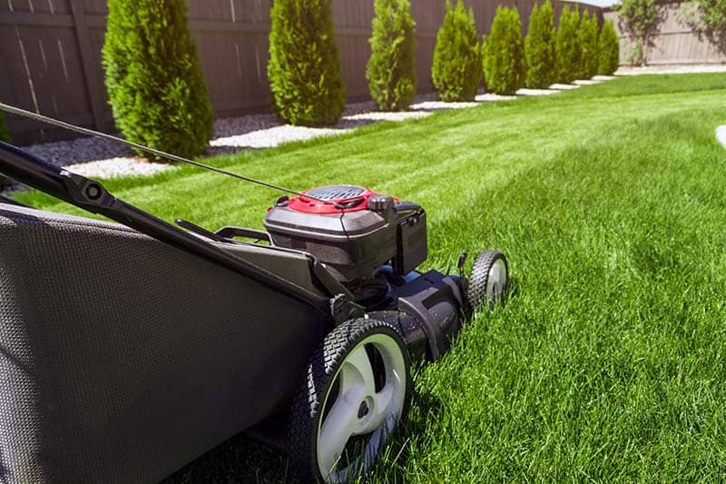 How to cut patterns in your lawn