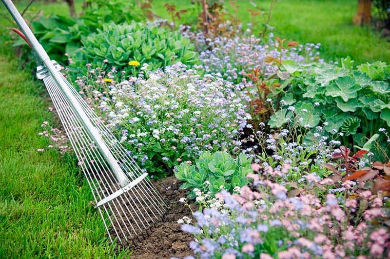 how to plant flowers in shady areas
