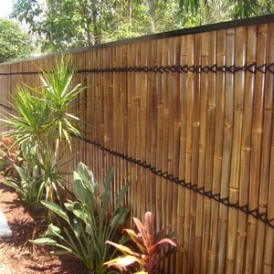 How much does bamboo fencing cost?