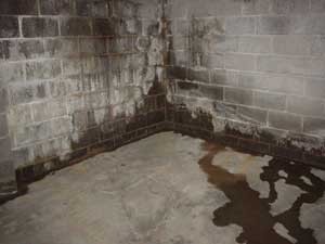 basement waterproofing cost for floor and walls
