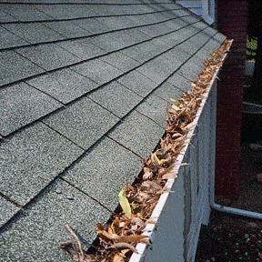 Gutter cleaning cost