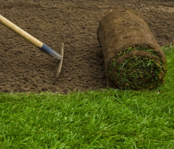 Sod Installation Cost Calculator With AVG Sod Prices 2022