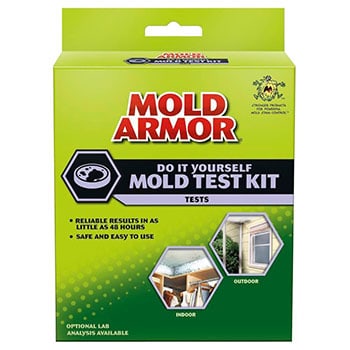 Mold testing kit